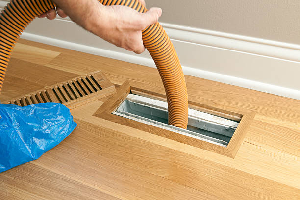 Best Air Duct Mold Removal  in Louisville, KY