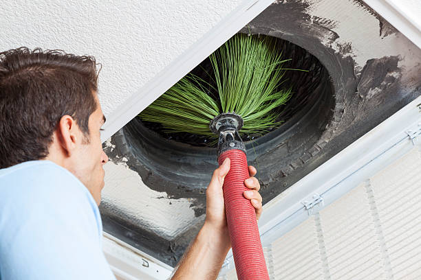 Air Duct Mold Removal in KY